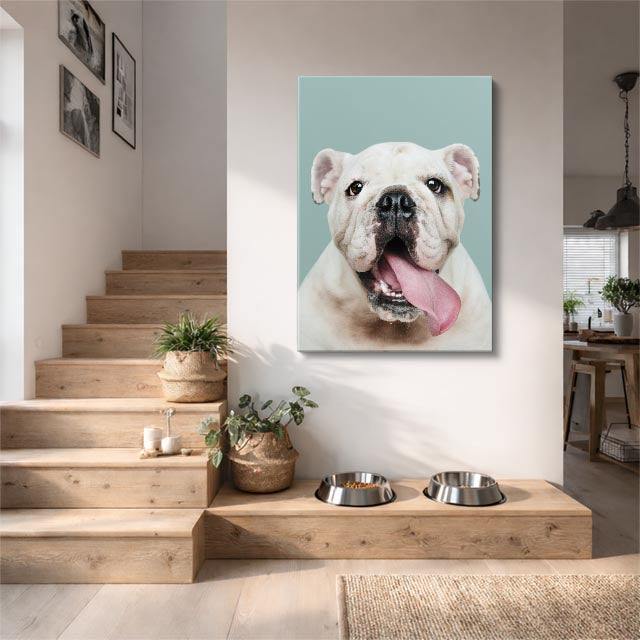 Cuadro canvas de perro beagle con fondo amarillo colgado en sala moderna