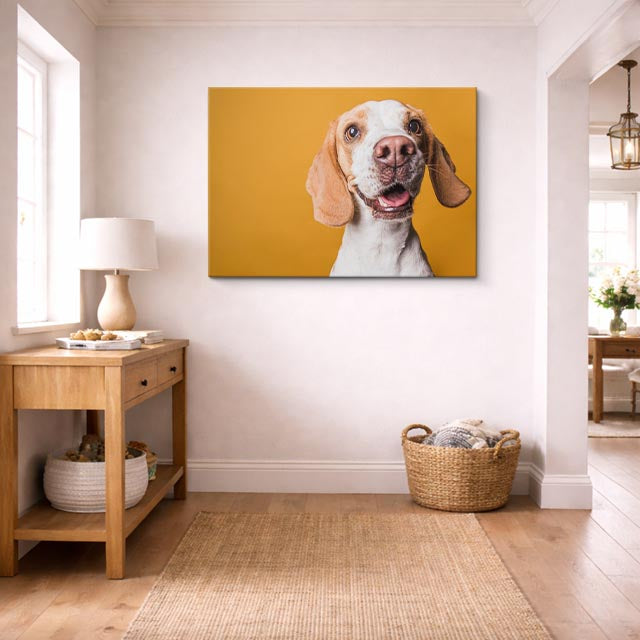 Cuadro canvas de perro beagle con fondo amarillo colgado en sala moderna