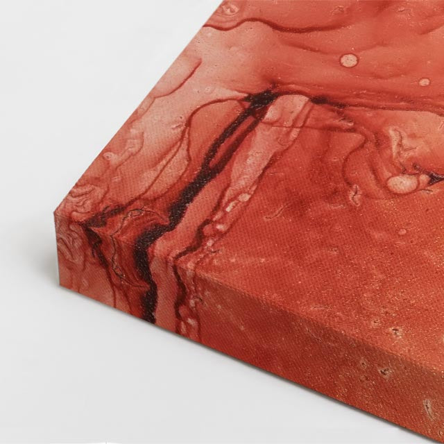 cuadro canvas abstracto fluido rojo botanico en tonos rojo, rosa, gris