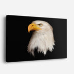 cuadro canvas animales aves vigía imperial horizontal