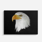 cuadro canvas animales aves perfil dorado horizontal