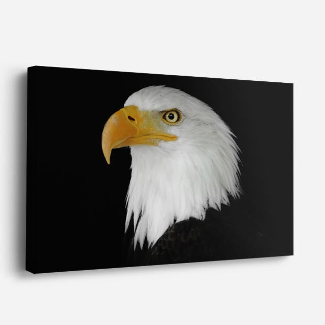 cuadro canvas animales aves perfil dorado horizontal