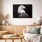 cuadro canvas animales aves águila suprema horizontal