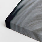 cuadro canvas animales aves mirada solar horizontal