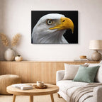 cuadro canvas animales aves mirada solar horizontal