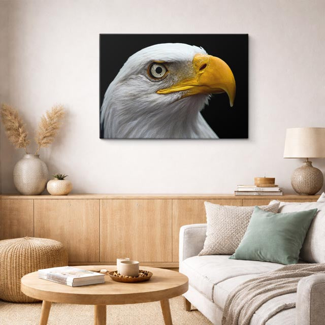 cuadro canvas animales aves mirada solar horizontal