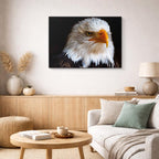 cuadro canvas animales aves pluma áurea horizontal