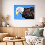 cuadro canvas animales aves vuelo patriota horizontal