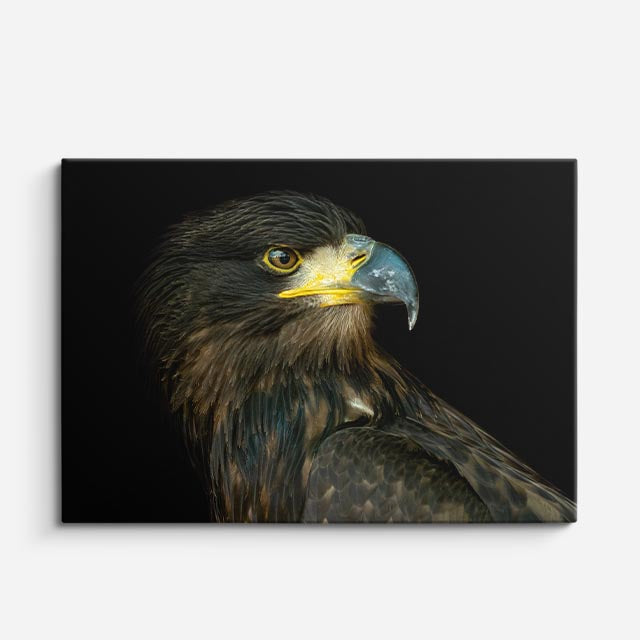cuadro canvas animales aves guardiana nocturna horizontal