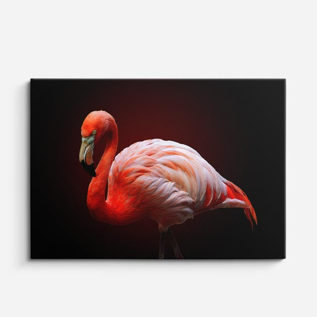 cuadro canvas animales aves flamenco coral horizontal