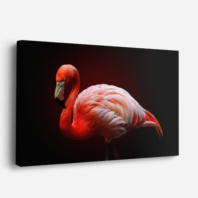 cuadro canvas animales aves flamenco coral horizontal