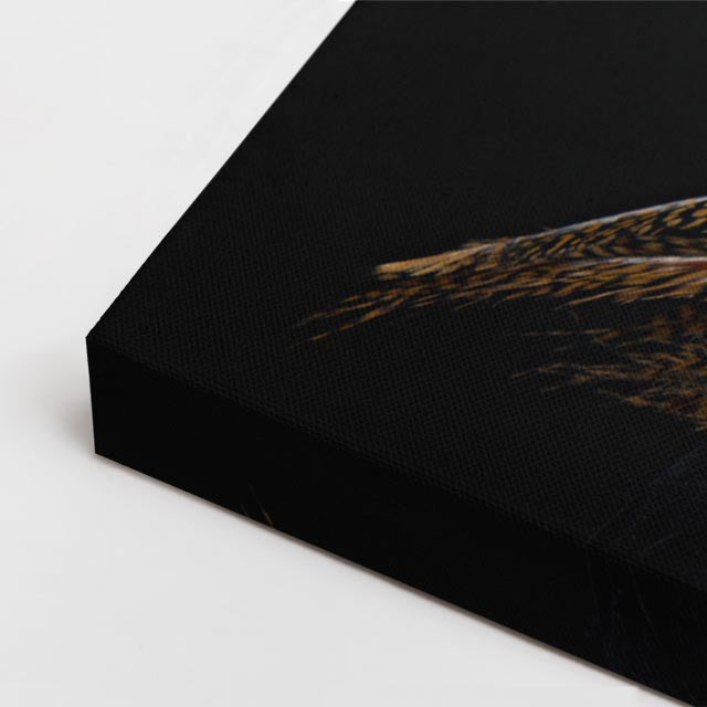 cuadro canvas animales aves fuego del alba horizontal