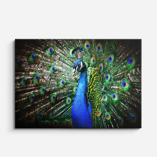cuadro canvas animales aves reino esmeralda horizontal