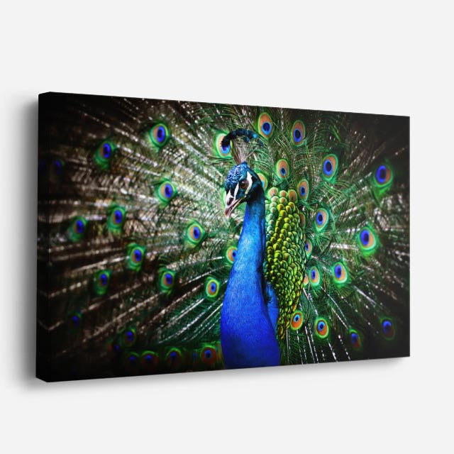 cuadro canvas animales aves reino esmeralda horizontal
