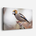 cuadro canvas animales aves gorrión de nieve horizontal