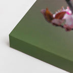 cuadro canvas animales aves canto primaveral horizontal