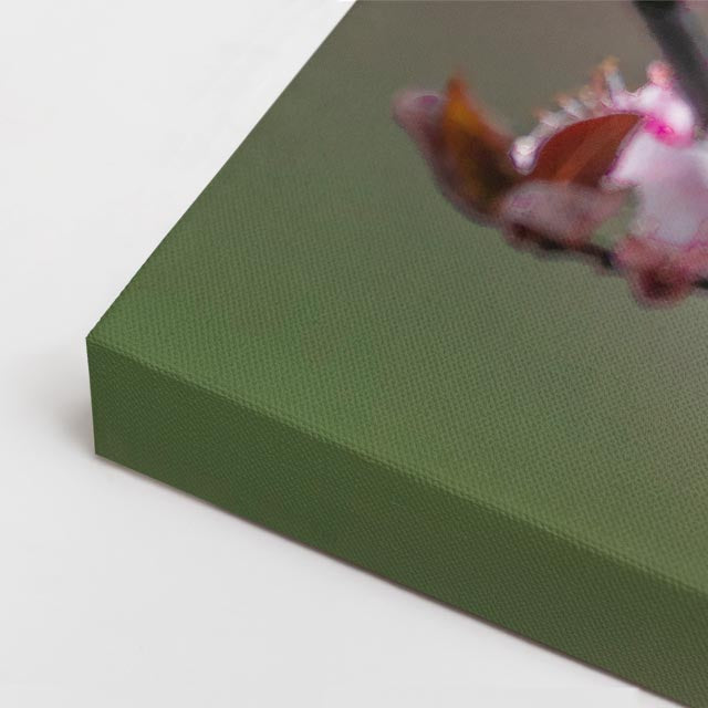 cuadro canvas animales aves canto primaveral horizontal