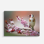 cuadro canvas animales aves canto primaveral horizontal