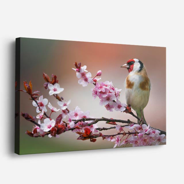 cuadro canvas animales aves canto primaveral horizontal