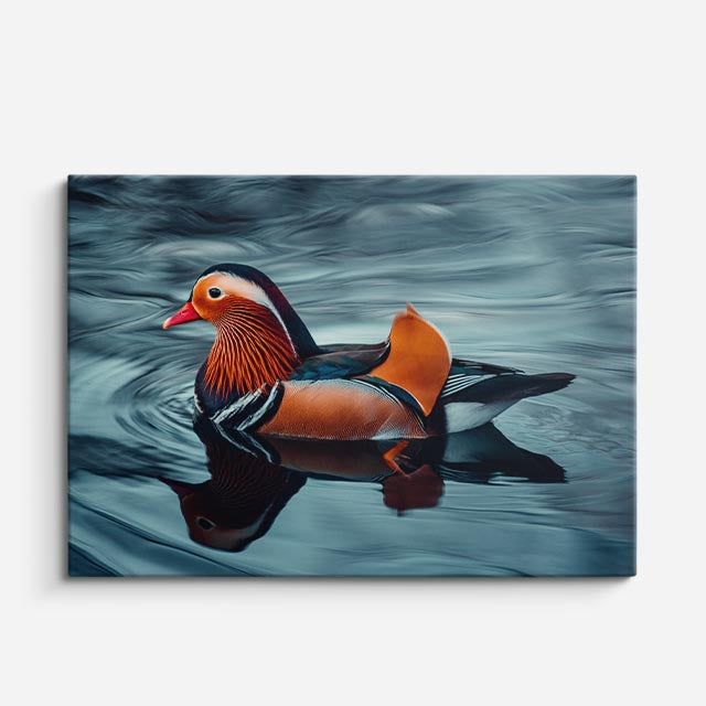 cuadro canvas animales aves gallo marino horizontal