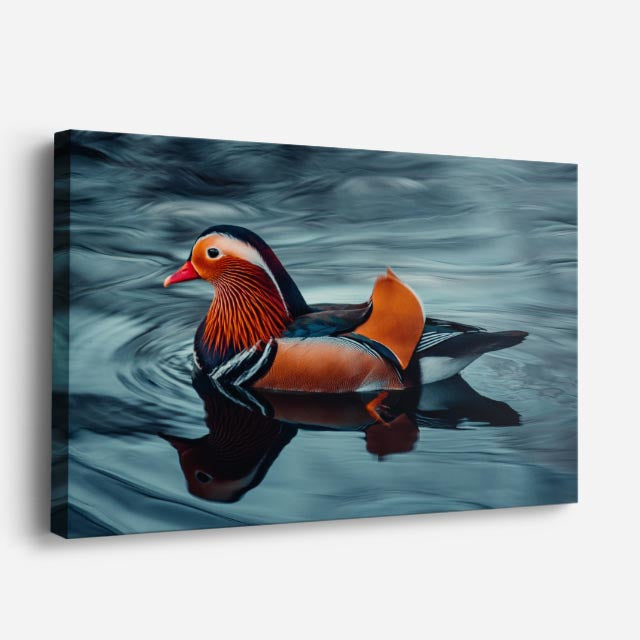 cuadro canvas animales aves gallo marino horizontal
