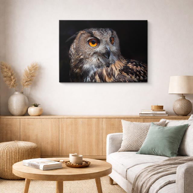 cuadro canvas animales aves ojos del bosque horizontal