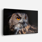 cuadro canvas animales aves ojos del bosque horizontal