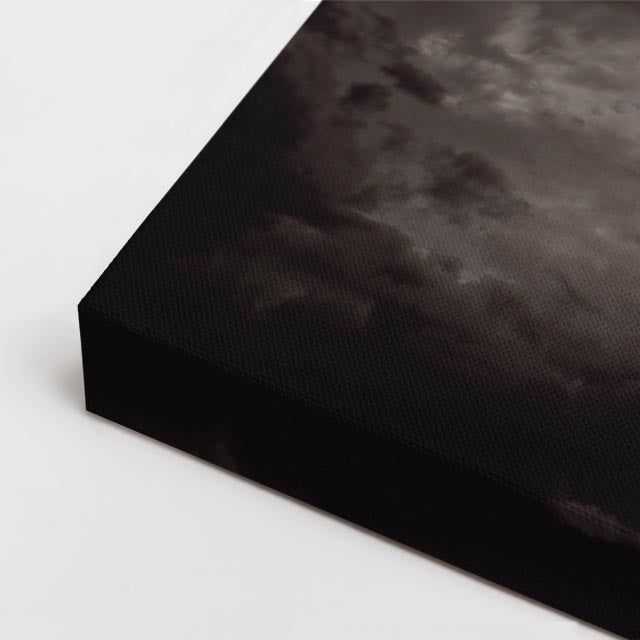cuadro canvas animales aves luna silente horizontal