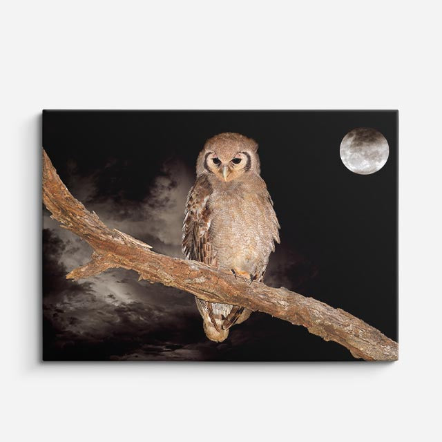 cuadro canvas animales aves luna silente horizontal