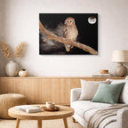 cuadro canvas animales aves luna silente horizontal