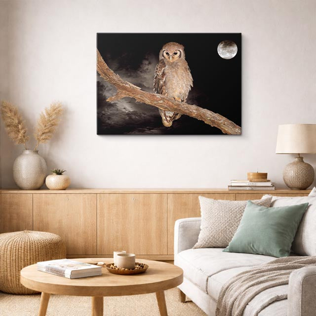 cuadro canvas animales aves luna silente horizontal