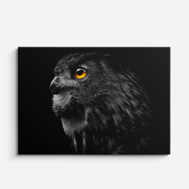 cuadro canvas animales aves sombra del bosque horizontal