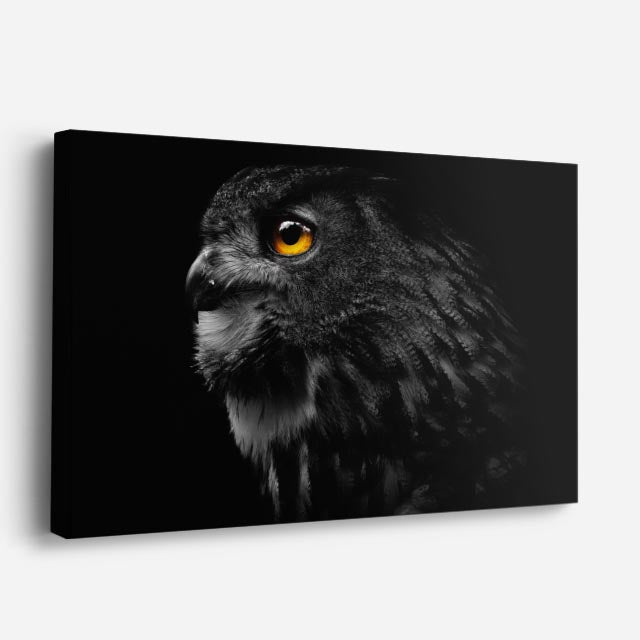cuadro canvas animales aves sombra del bosque horizontal