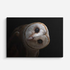 cuadro canvas animales aves vigía lunar horizontal