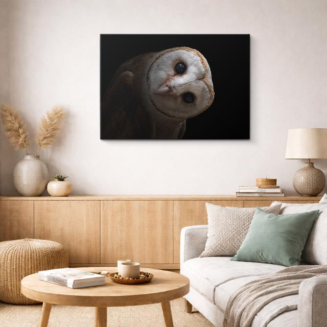 cuadro canvas animales aves vigía lunar horizontal