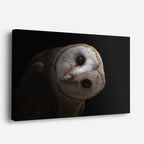 cuadro canvas animales aves vigía lunar horizontal