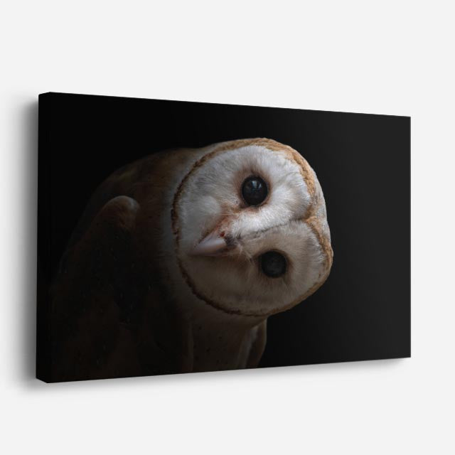 cuadro canvas animales aves vigía lunar horizontal