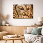 cuadro canvas animales aves mirada salvaje horizontal
