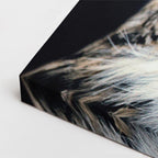 cuadro canvas animales aves alas de ébano horizontal