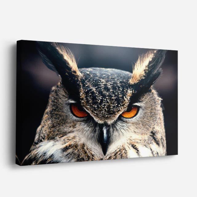 cuadro canvas animales aves alas de ébano horizontal