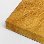 cuadro canvas animales aves eco dorado horizontal