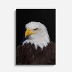 cuadro canvas aves mirada imperial vertical