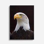 cuadro canvas aves rey del cielo vertical