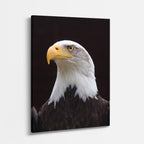 cuadro canvas aves rey del cielo vertical