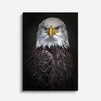 cuadro canvas aves perfil del guardián vertical