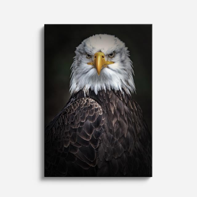 cuadro canvas aves perfil del guardián vertical