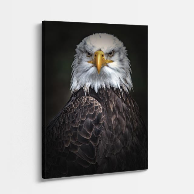 cuadro canvas aves perfil del guardián vertical