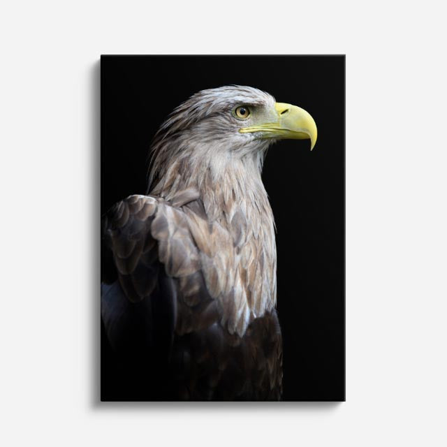 cuadro canvas aves alas de poder vertical