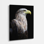 cuadro canvas aves alas de poder vertical