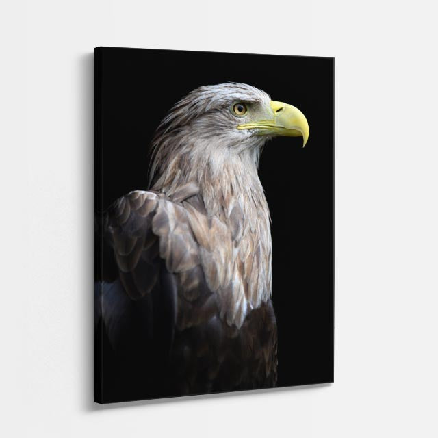 cuadro canvas aves alas de poder vertical